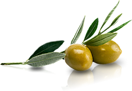 OLEA EUROPAEA LEAF EXTRACT (OLIVE LEAF EXTRACT) - OLEA EUROPAEA LEAF EXTRACT (OLIVE LEAF EXTRACT)